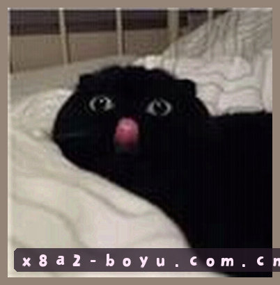 孙涛